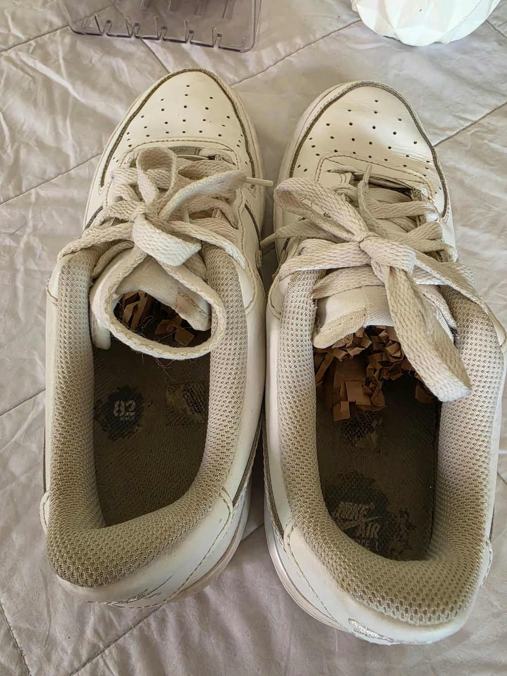 Nike low top
